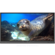 Ecran LED 86" Interactif TDX86 UHD 4K Tactile au Doigt et au Stylet RP860K