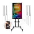 TOTEM TACTILE 65