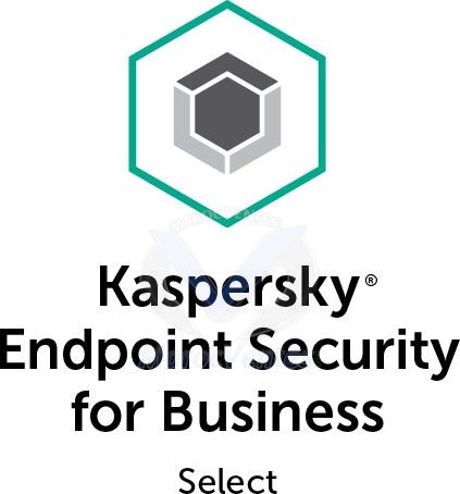 Endpoint Security for Business 1 year Base License KL48638APFS