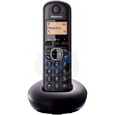 TÉLÉPHONE SANS FIL PANASONIC KX-TGB210 KX-TGB210