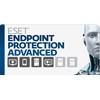ESET Endpoint Protection Advanced- License Pleine 1 An- 1 serveur+20 clients AEEPA-L1 AB