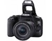 CANON EOS 250D BK + Objectif EF-S 18-55mm f/4-5.6 IS STM Lens