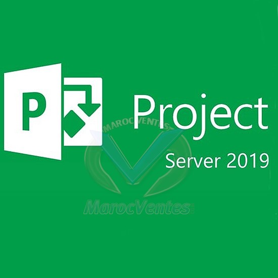 Project Server 2019 Licence 1 Serveur Single Language H22-02788